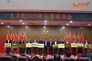 米兰（中国）集团及旗下子公司荣获“2024年度高质量发展先进企业”